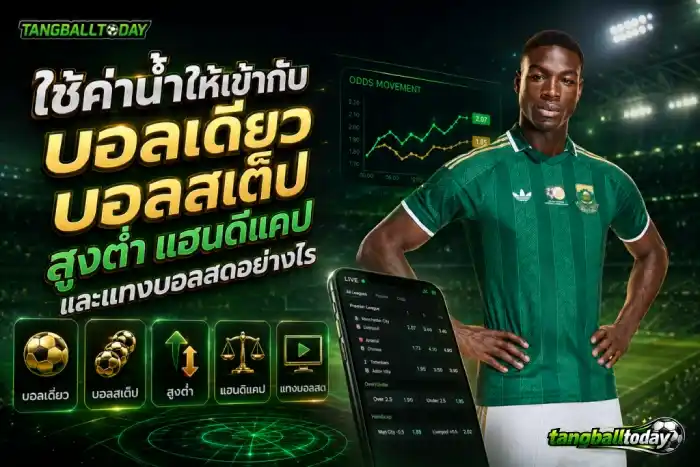 แทง บอล เว็บ ตรง แทงบอลสด